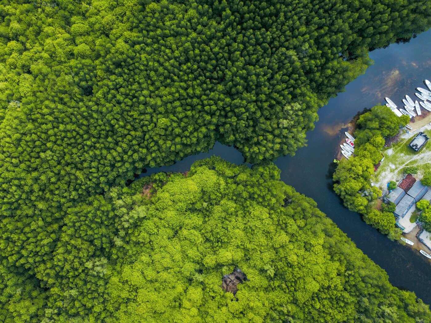 Nusa Lembongan Mangrove 2
