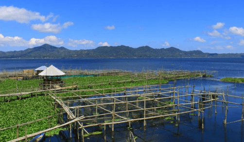 Sulawesi lac Danau Tondano