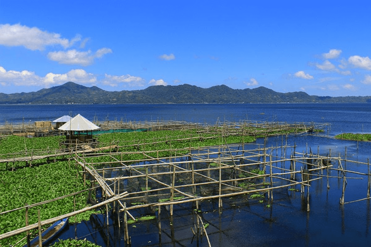 Sulawesi lac Danau Tondano