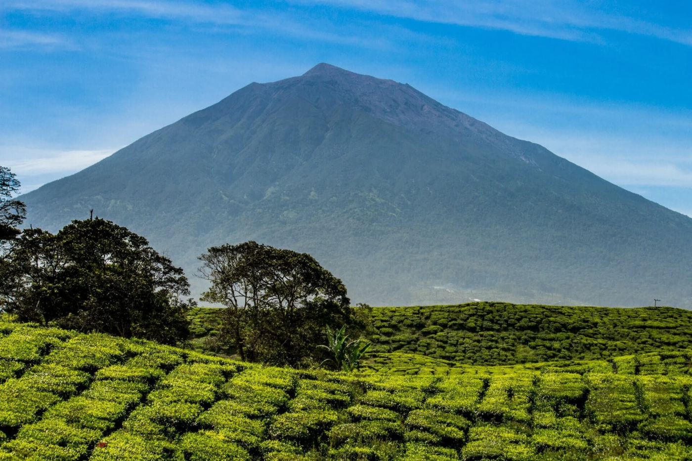 Sumatra National Park Kerinci