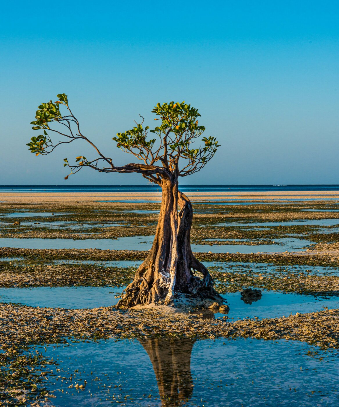 Sumba Beach Walakiri