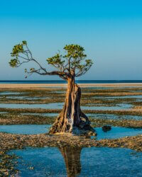 Sumba Beach Walakiri