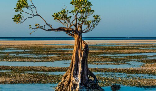 Sumba Beach Walakiri