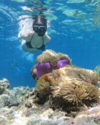 Bali Menjangan Snorkeling