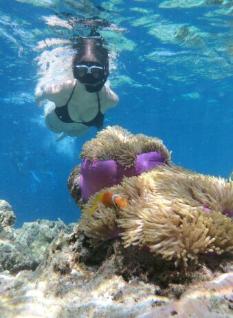 Bali Menjangan Snorkeling