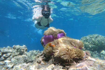 Bali Menjangan Snorkeling