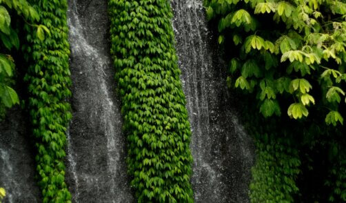 Bali waterfall Banyumala 2