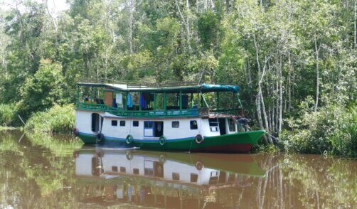 COME2BORNEO Klotok 5