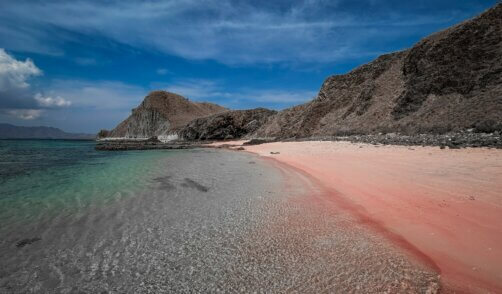 Flores Komodo Pink Beach 2