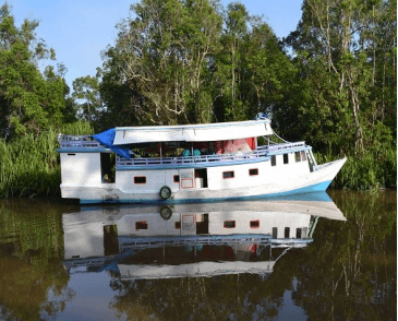 archipel360 Borneo Tanjung Puting Boat Open Deck 3