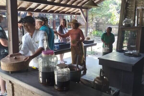 Bali Marga Rumah Desa 5