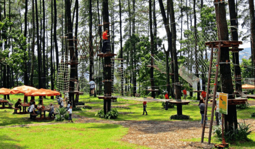 Bali Treetop Adventure park 1