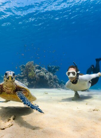 Bali Turtle Snorkling