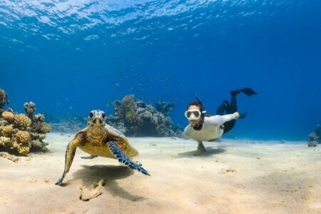 Bali Turtle Snorkling