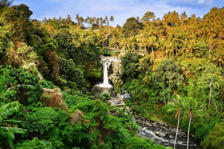 Bali Waterfall Tegenungan 2