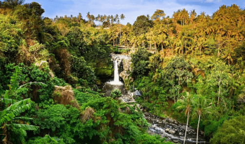 Bali Waterfall Tegenungan 2