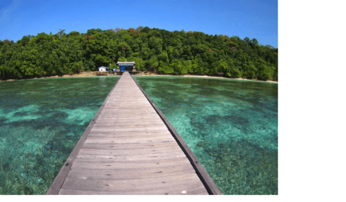 Borneo Derawan 5