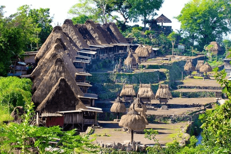 Flores Gurusina Village 1