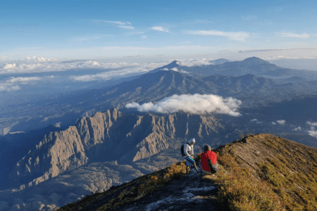 Flores Inerie Volcan 1
