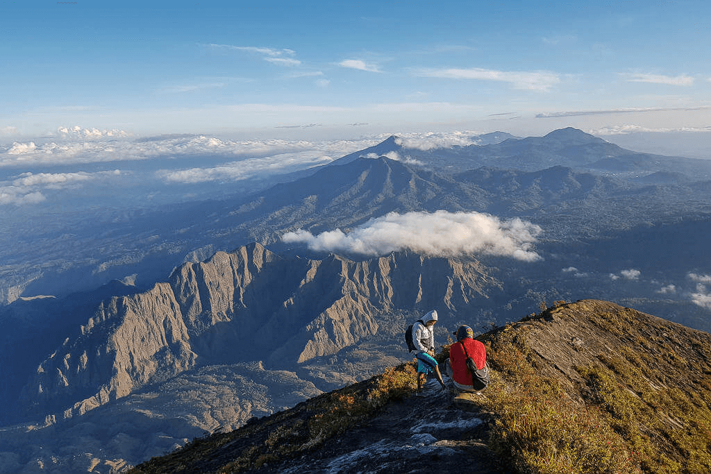 Flores Inerie Volcan 1