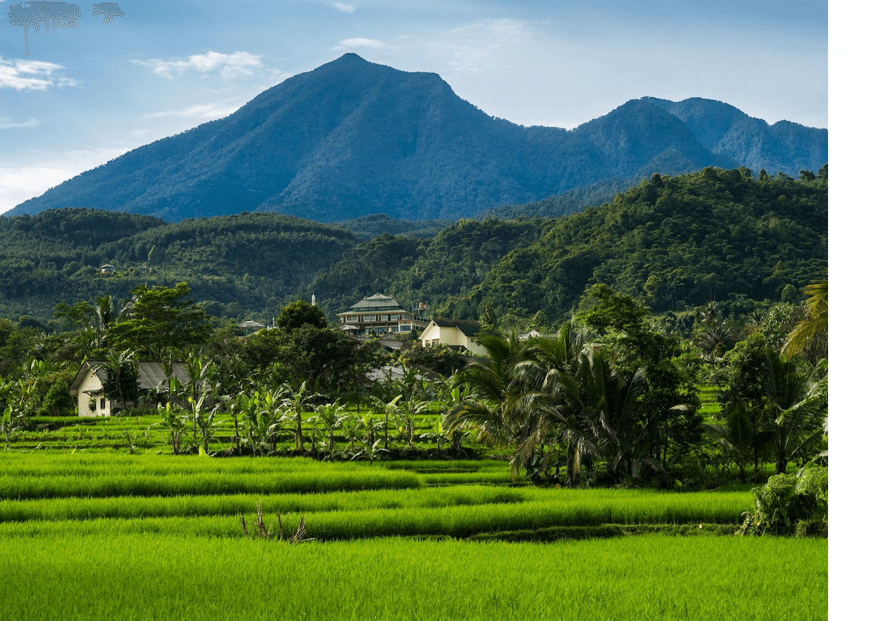 Java Bogor 3