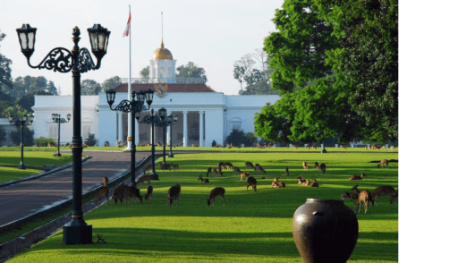 Java Bogor Palace 2