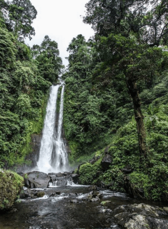 Bali Waterfall Gitgit 2