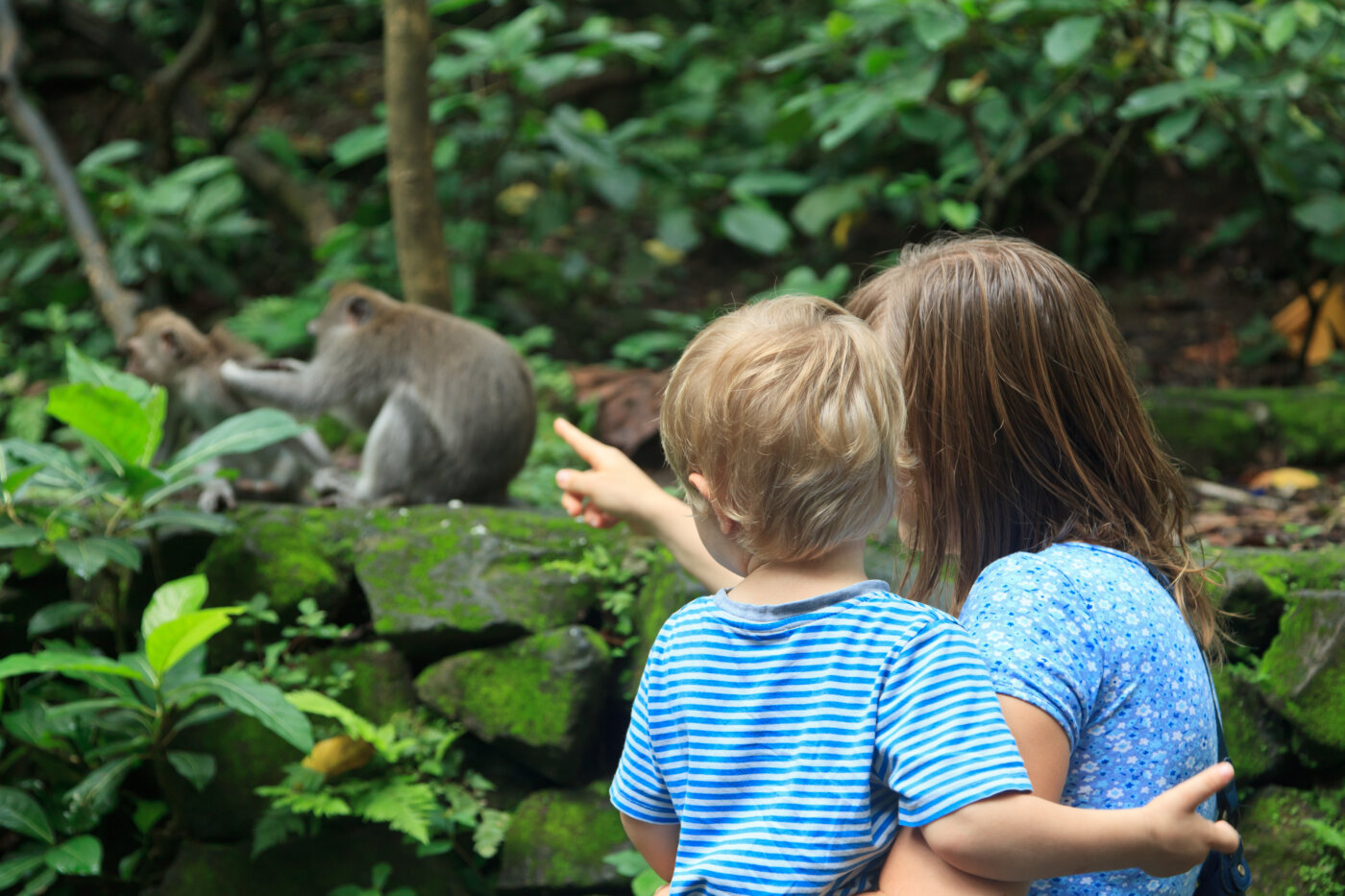 family looking at wild monkey in nature