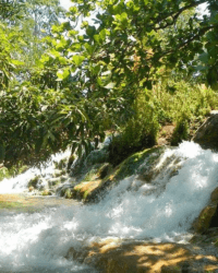 Flores Soa Hot Spring