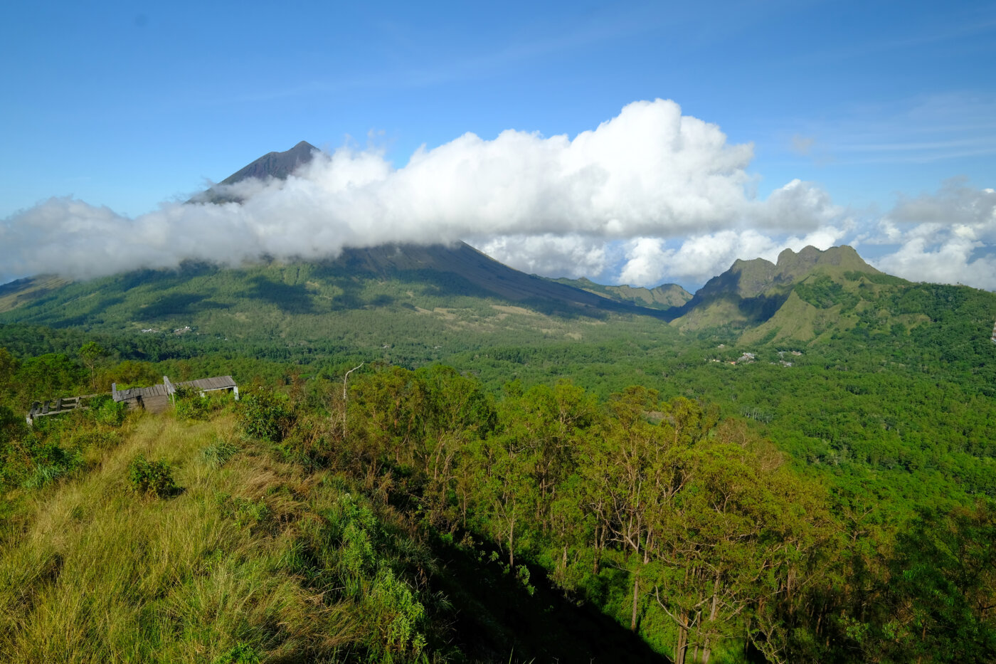 Flores Bajawa 5