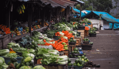 Flores Maumere Local Market 3