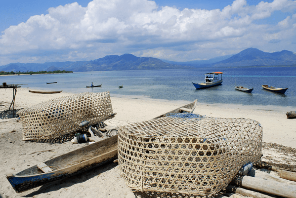 Flores Maumere Pulau Babi 3