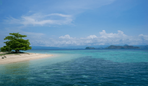 Flores Maumere Pulau Pangabatang 1