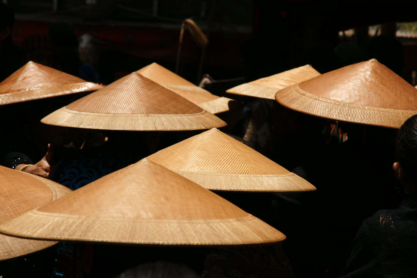 SONY DSC