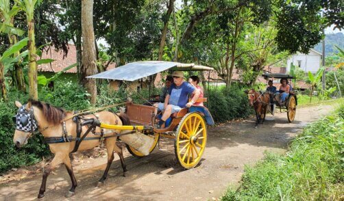 Java Candirejo Caleche