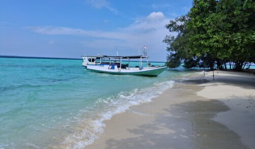 Java Karimunjawa Pulau Cemara 10