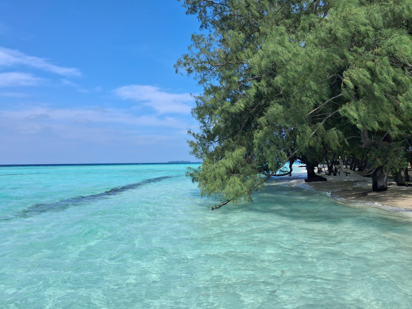 Java Karimunjawa Pulau Cemara 5