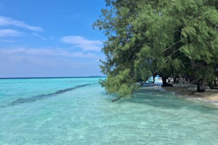 Java Karimunjawa Pulau Cemara 5