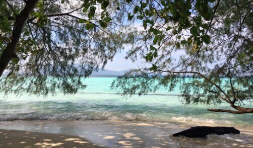 Java Karimunjawa Pulau Cemara 6