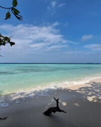 Java Karimunjawa Pulau Cemara 7