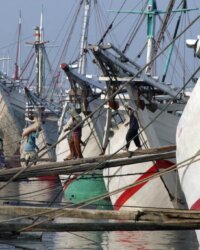 Java Jakarta Port Sunda Kelapa