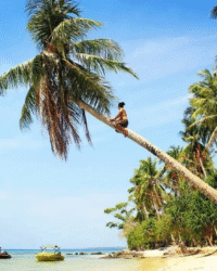 Java Karimunjawa Tanjung Gelam