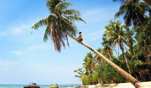 Java Karimunjawa Tanjung Gelam