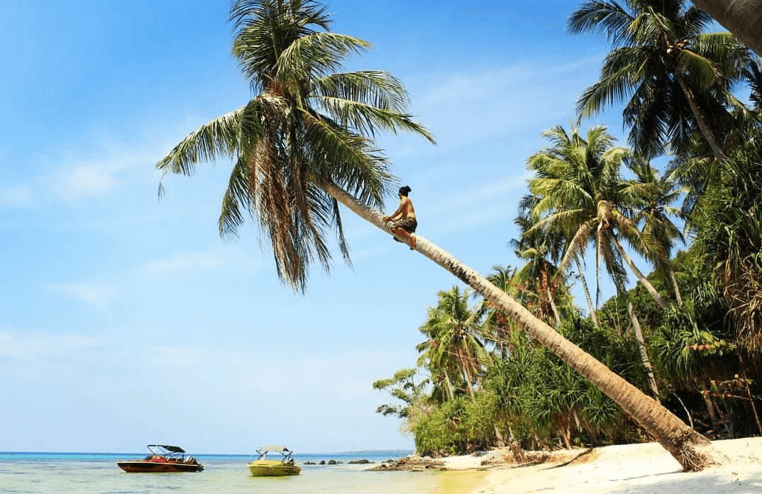 Java Karimunjawa Tanjung Gelam