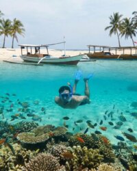 Karimunjawa-Le-Guide-Complet-2026-Snorkeling-Plages
