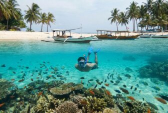 Karimunjawa-Le-Guide-Complet-2026-Snorkeling-Plages