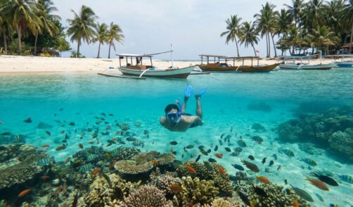 Karimunjawa-Le-Guide-Complet-2026-Snorkeling-Plages