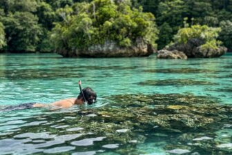 Riung-et-les-17-yles-de-Flores-Snorkeling-et-Nature-Pryservye