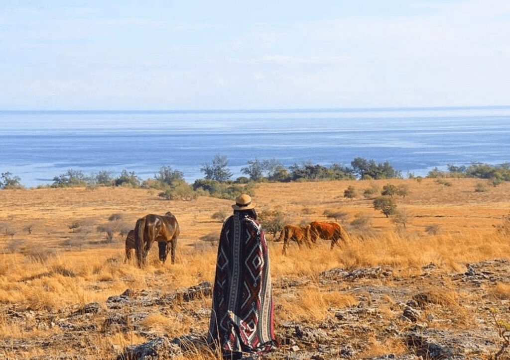 Sumba Savana Puru Kambera 2