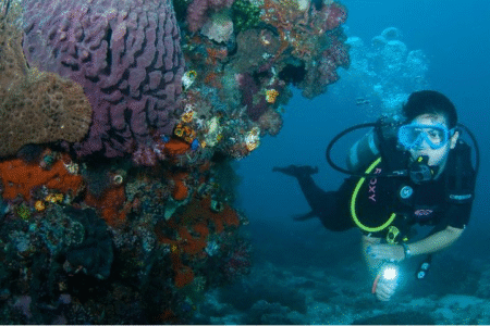 Diving Rote